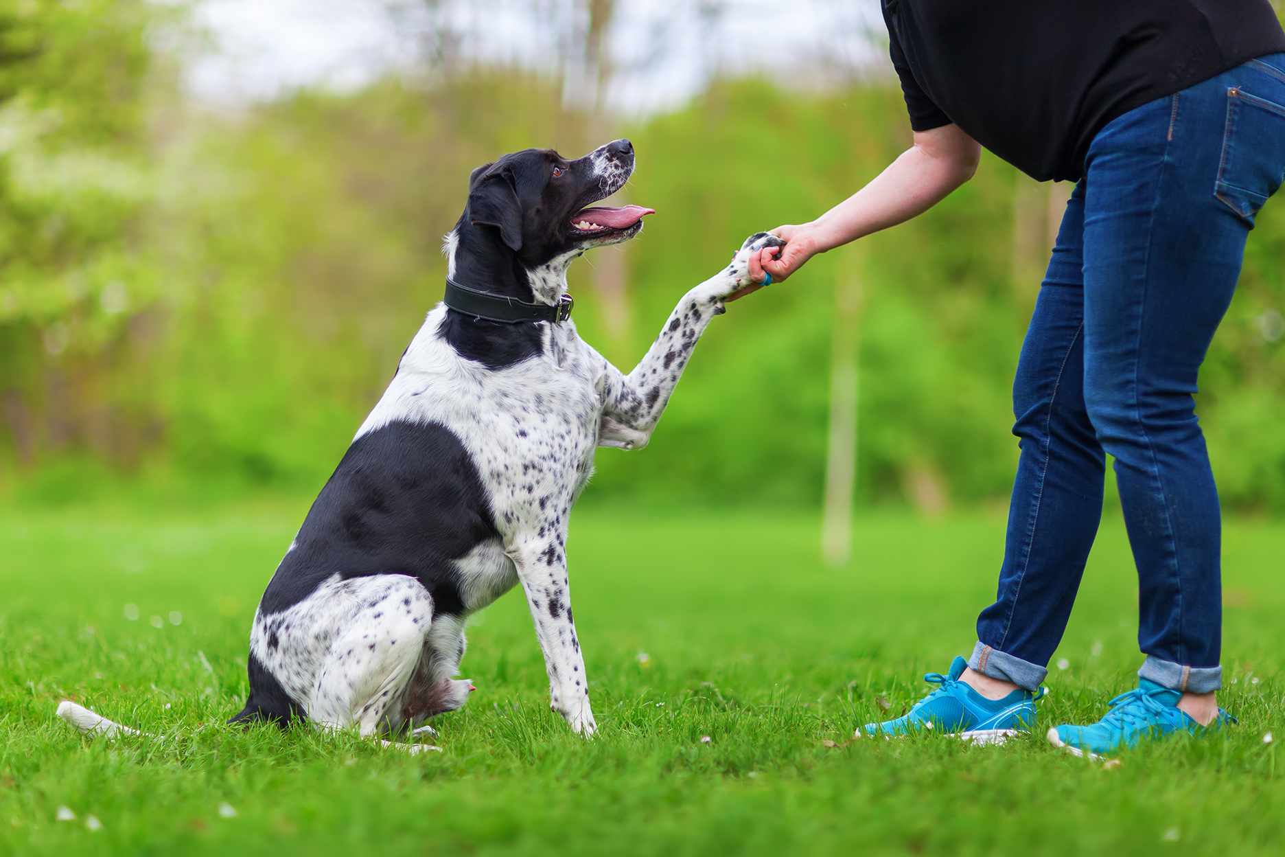 AdobeStock_145660075_